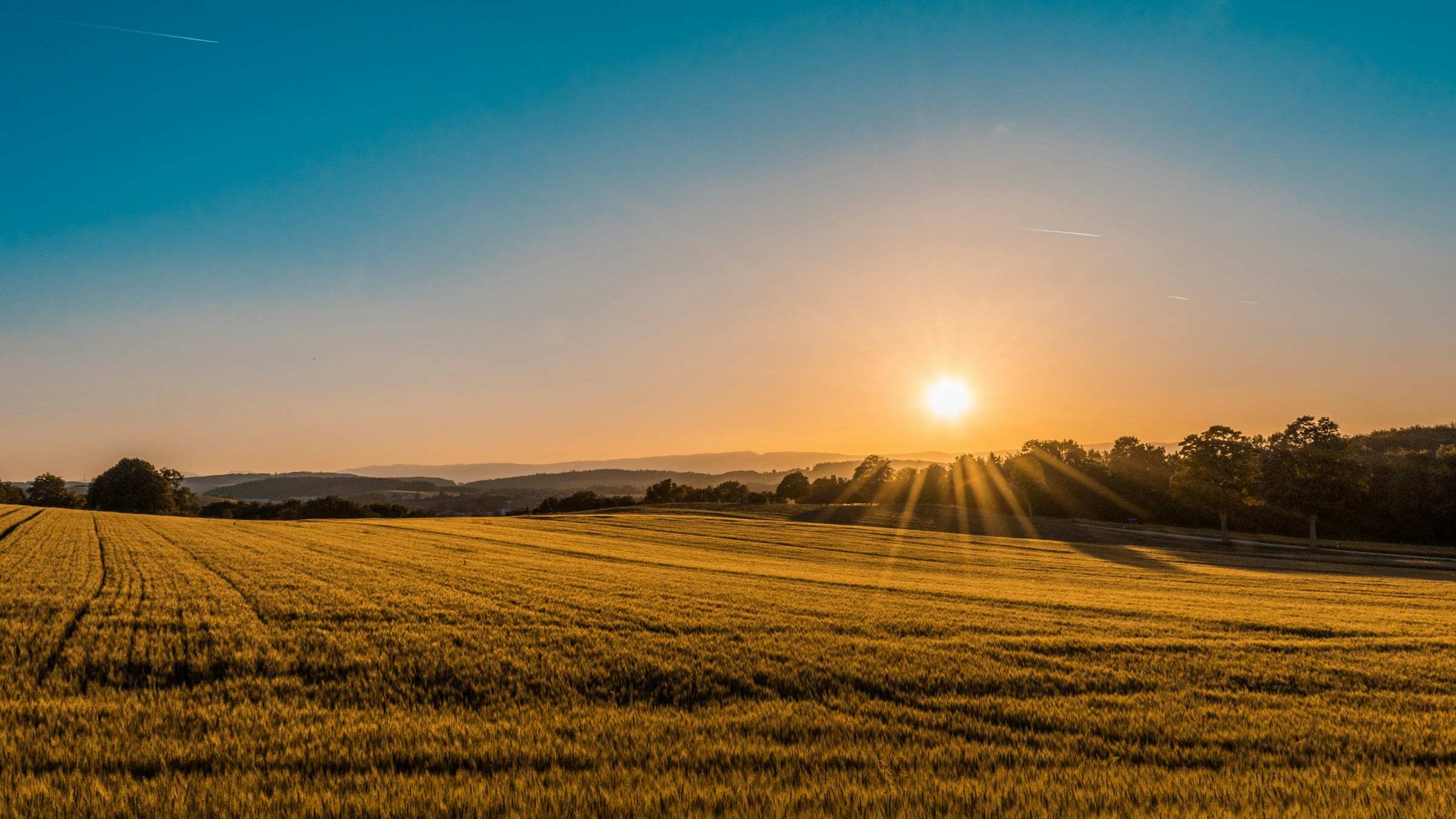 Rolling green countryside in the early morning light